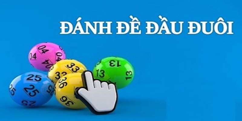 Đầu đuôi là gì? Tìm hiểu tổng quan